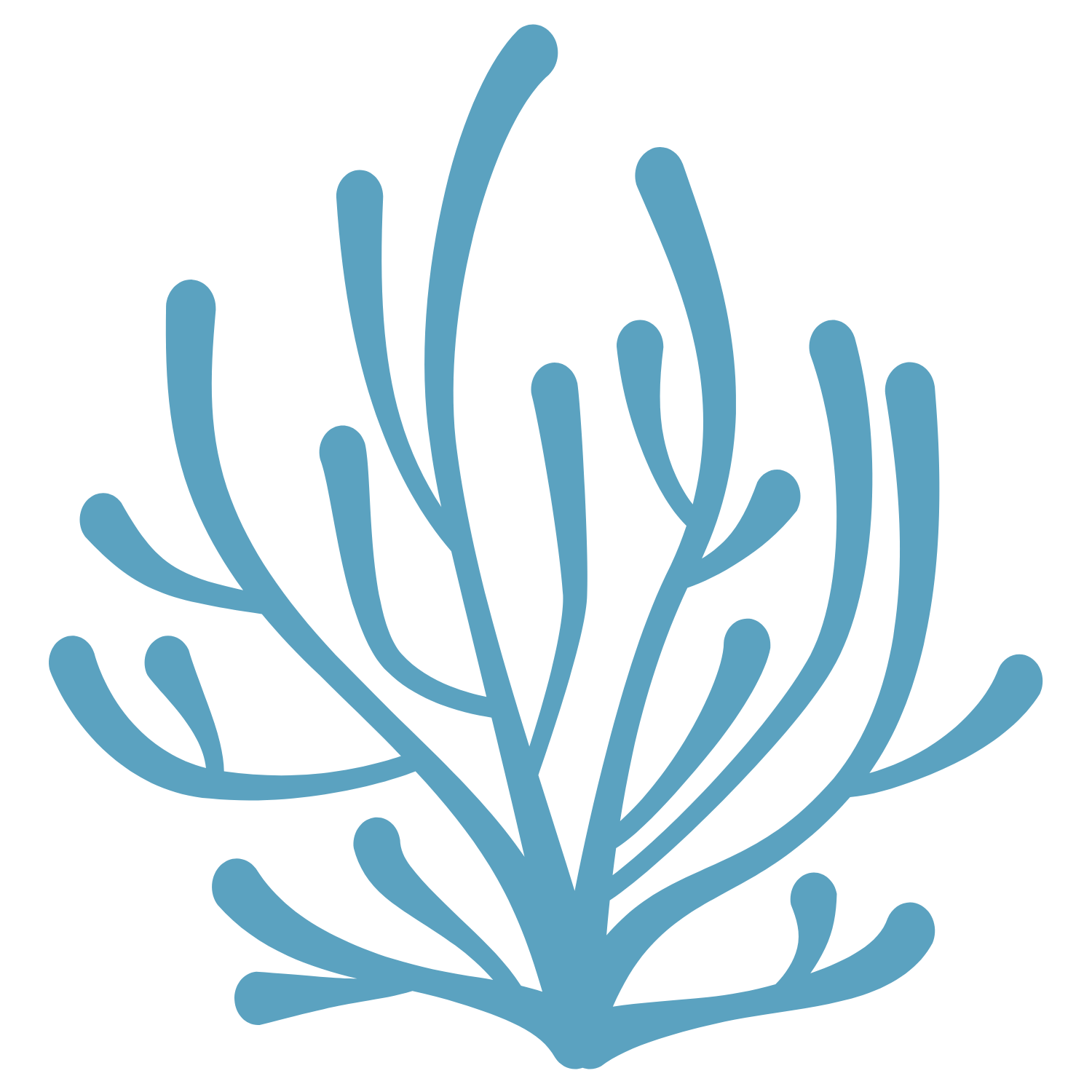 In-Depth Education & Information